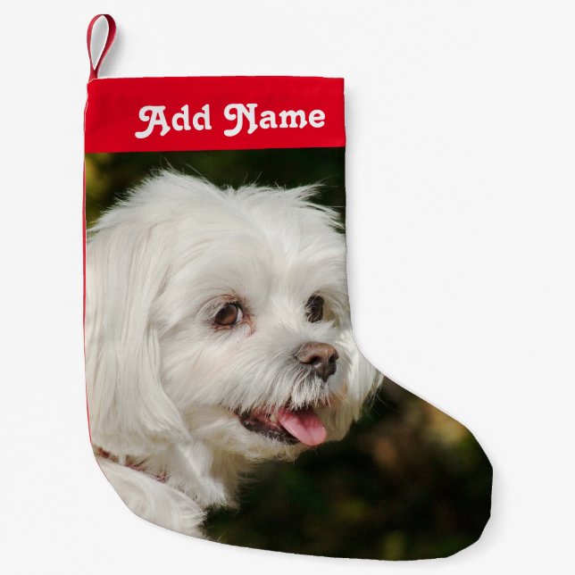 Personalisierter maltesischer Hund Weihnachts-Stru Kleiner Weihnachtsstrumpf (Vorderseite)