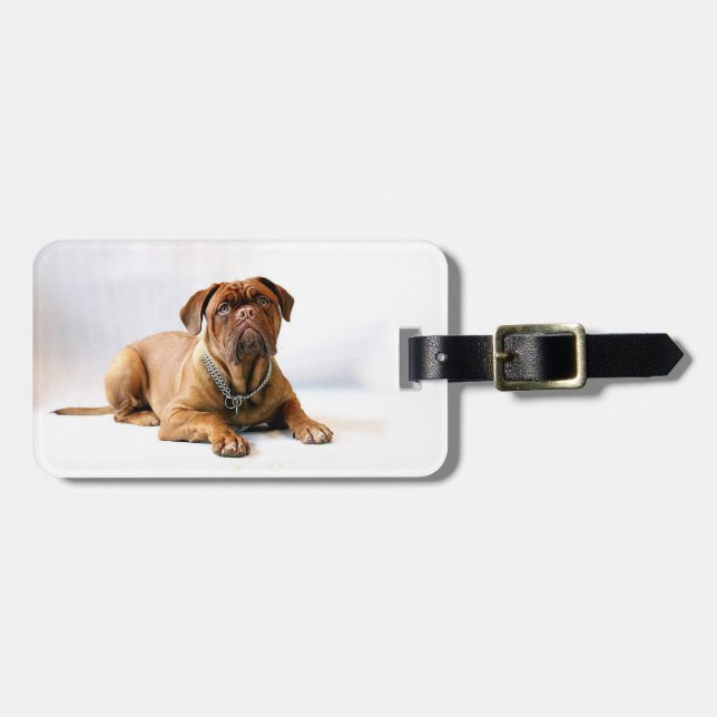 Personalisierter Mastiff/Hund-Foto Gepäckanhänger (Vorderseite horizontal)