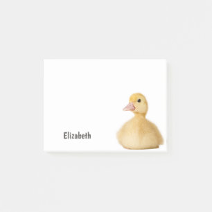 Personalisierter Name der niedlichen Ente Post-it Klebezettel