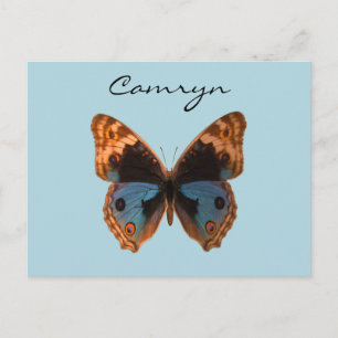 Personalisierter Name der Schmetterlingsmotte Postkarte