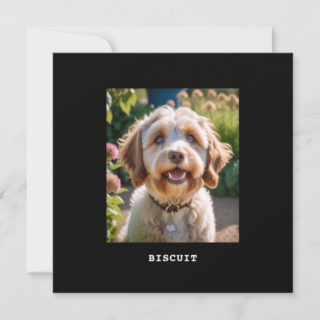 Personalisierter Name des Fotos Katze Grüße Karte (Vorderseite)