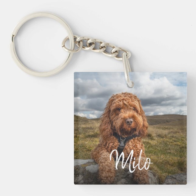 Personalisierter Name des modernen Hundes Foto Schlüsselanhänger (Vorderseite)
