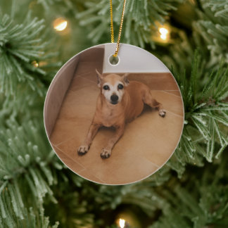 Personalisierter Name und Foto-Tiergedenkstein Keramik Ornament