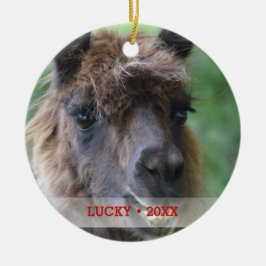 Personalisierter Pet Llama Foto & Name Weihnachtsb Keramikornament