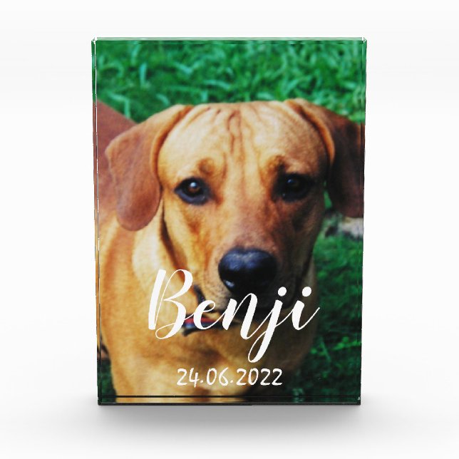 Personalisierter Pet-Memorial Akryllischer Foto-Bl Fotoblock (Vorderseite)