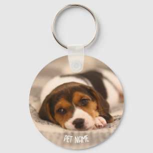 Personalisierter Pet-Schlüsselanhänger - Benutzerd Schlüsselanhänger