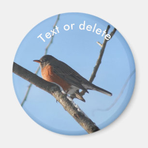 Personalisierter Robin im Schnee Wildlife Natur Magnet
