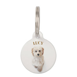 Personalisierter Round-Pet-Tag Haustiermarke