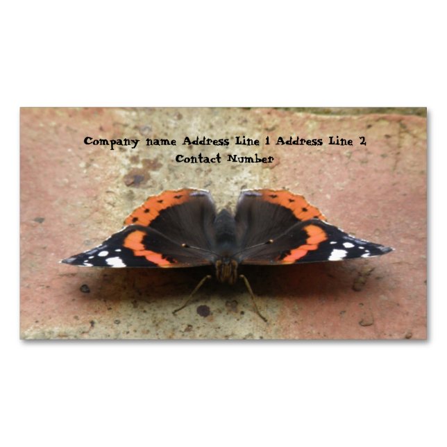 Personalisierter Schmetterling Magnetische Visitenkarte (Vorderseite)
