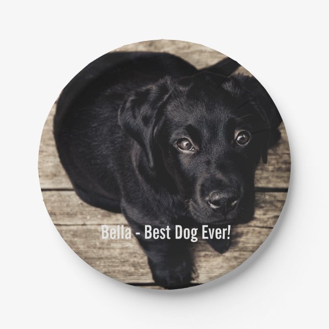 Personalisierter schwarzer Labrador-HundeFoto-und Pappteller (Vorderseite)