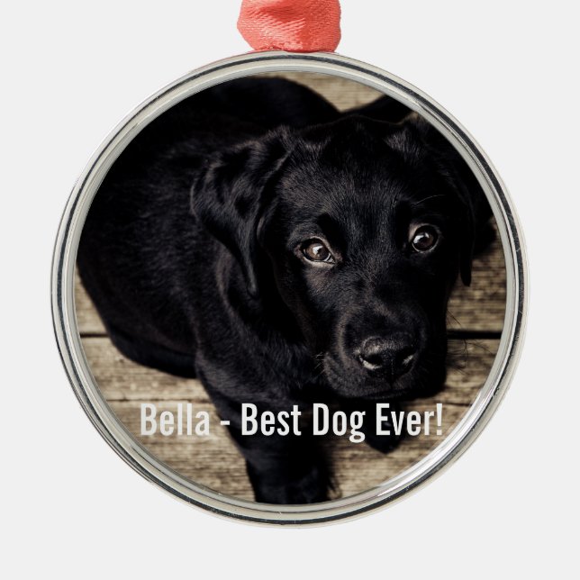 Personalisierter schwarzer Labrador-HundeFoto-und Silbernes Ornament (Vorne)