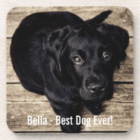 Personalisierter schwarzer Labrador-HundeFoto-und