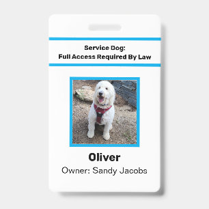 Personalisierter Servicehund Amtliches Foto ID Ein Ausweis