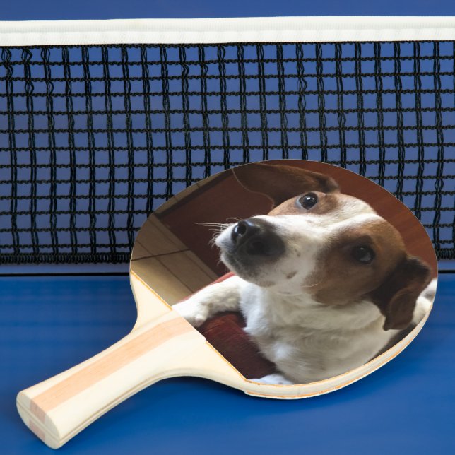 personalisierter tischtennis schläger (InSitu)