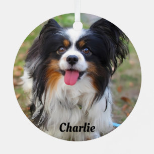 Personalisierter Tri Color Papillon Welpenhund Ornament Aus Metall