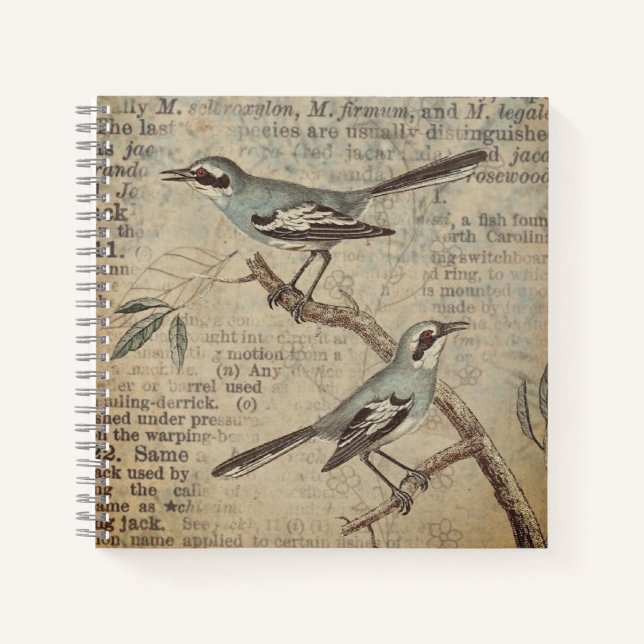 Personalisierter Vintager Aquamariner Vogelwörterb Notizbuch (Vorderseite)