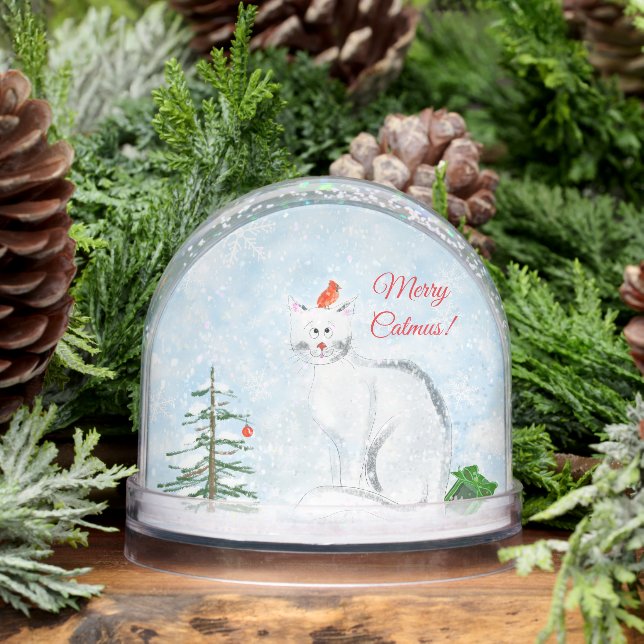 Personalisierter Weihnachtskater Snow Globe Schneekugeln (Winter)