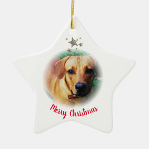 Personalisierter Weihnachtsstar Keramik Ornament