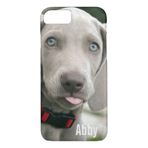 Personalisierter Weimaraner HundeFoto-und title_seo2
