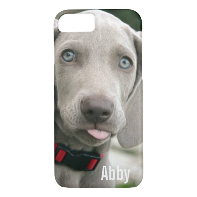 Personalisierter Weimaraner HundeFoto-und Case-Mate iPhone Hülle (Rückseite)