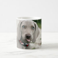 Personalisierter Weimaraner HundeFoto-und