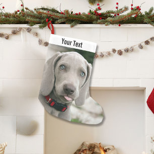 Personalisierter Weimaraner HundeFoto-und Kleiner Weihnachtsstrumpf