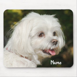 Personalisierter weißer maltesischer Welpenhund Mousepad