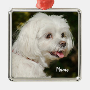 Personalisierter weißer maltesischer Welpenhund Ornament Aus Metall