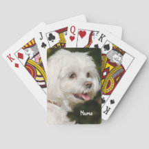 Personalisierter weißer maltesischer Welpenhund