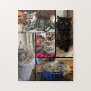 Personalisiertes 5-Foto-Puzzle Perserkatze
