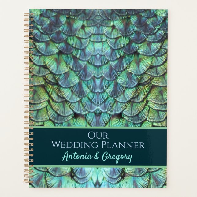 Personalisiertes Aqua Vibranding Peacock Feathers  Planer (Vorderseite)