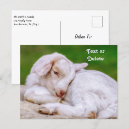 Personalisiertes Baby-Ziege-Kind Postkarte