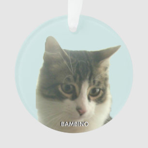 Personalisiertes benutzerdefiniertes Tabby-Katzenf Ornament