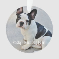 Personalisiertes Bulldog-Foto und Name des Bulldog