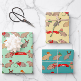 Personalisiertes Capybara Süßes Wildlife Weihnacht Geschenkpapier Set