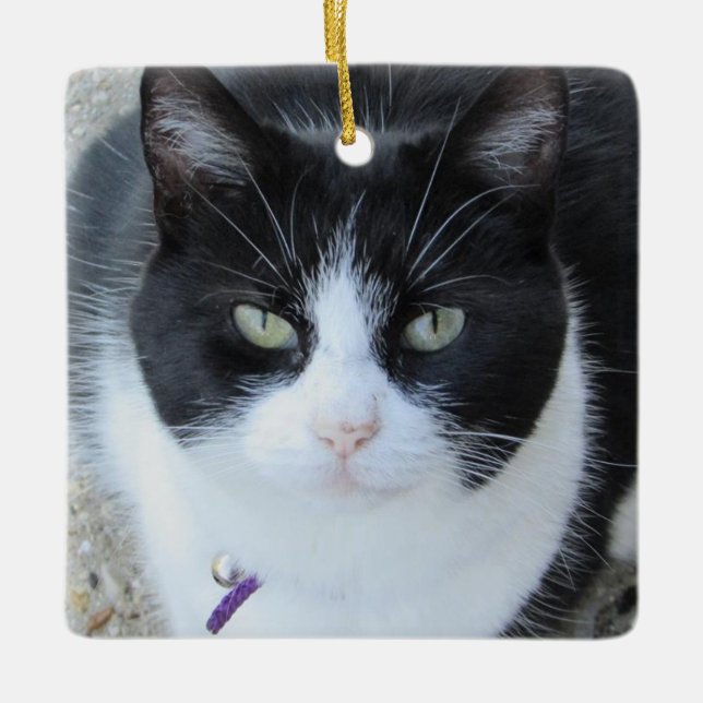 Personalisiertes Cat-Foto mit Name & Jahr Keramikornament (Vorderseite)
