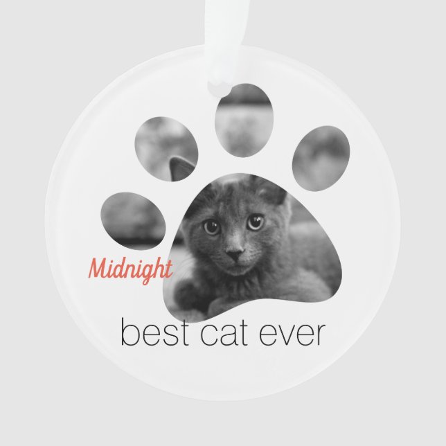 Personalisiertes Cat-Foto Ornament (Vorderseite)