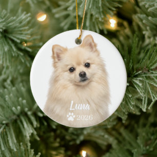 Personalisiertes Creme-Pomeranian-Hunde-Foto-Ornam Keramik Ornament