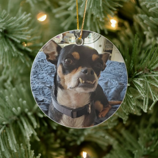 Personalisiertes Doggie-Foto Keramik Ornament (Baum)