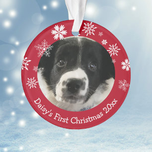 Personalisiertes erstes Weihnachten des Hundes Wei Ornament