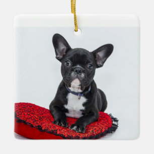 Personalisiertes Familien-Acryl-Andenken-Ornament Keramikornament