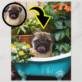 Personalisiertes Foto für die Ankündigung von Welp Postkarte