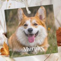Personalisiertes Foto für Haustiere Einfach Hund L