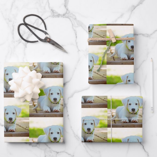Personalisiertes Foto für Haustiere Geschenkpapier Set (Vorderseite)