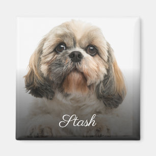 Personalisiertes Foto für Haustiere Magnet