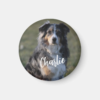 Personalisiertes Foto für Haustiere Magnet