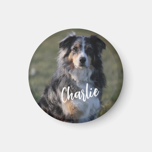 Personalisiertes Foto für Haustiere Magnet (Vorne)