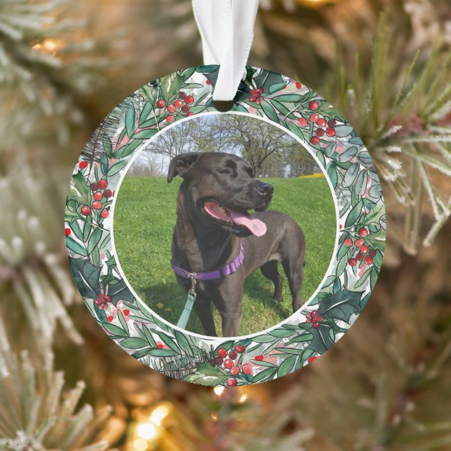Personalisiertes Foto für Haustiere Ornament (Baum)