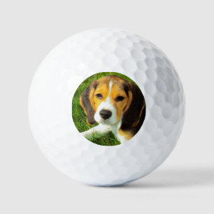 Personalisiertes Foto für Heimtiere Beagle Golfball