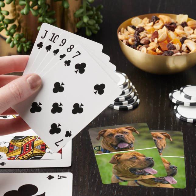 Personalisiertes Foto für zwei Haustiere Spielkarten (In Situ)